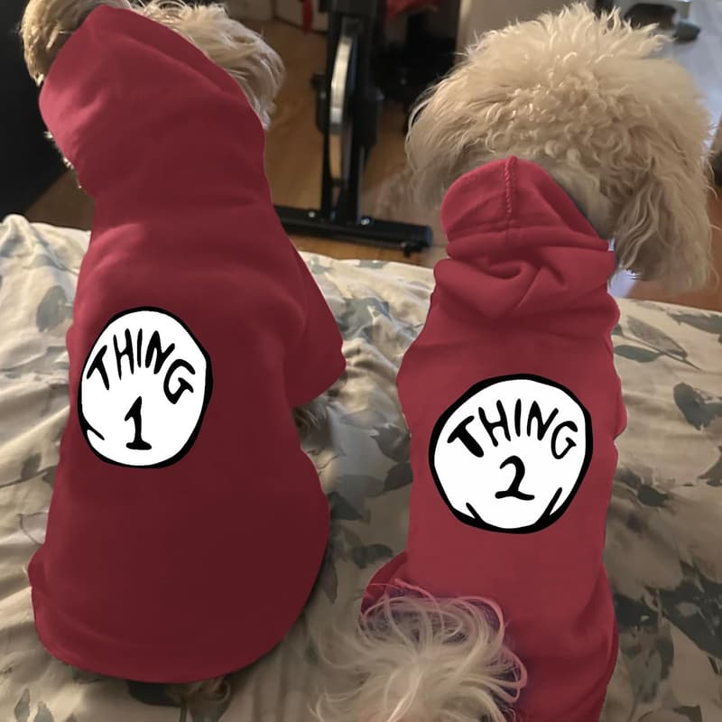 Small Dog Hoodie with Thing 1 Print - Wine Red Pullover