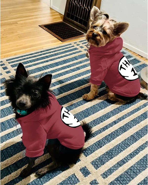 Small Dog Hoodie with Thing 1 Print - Wine Red Pullover