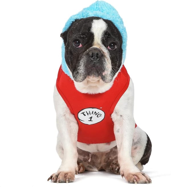 Halloween Cat in The Hat Dog Costume - Small, Officially Licensed