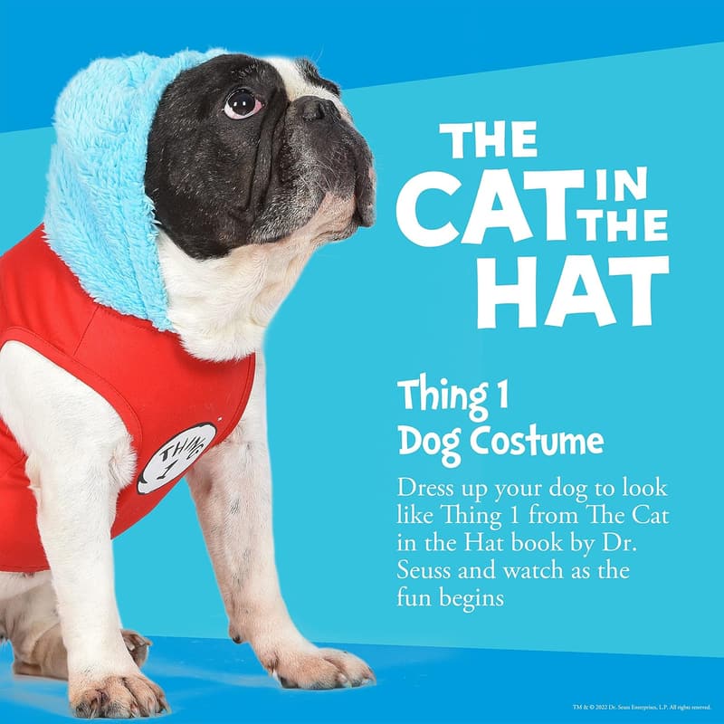 Halloween Cat in The Hat Dog Costume - Small, Officially Licensed