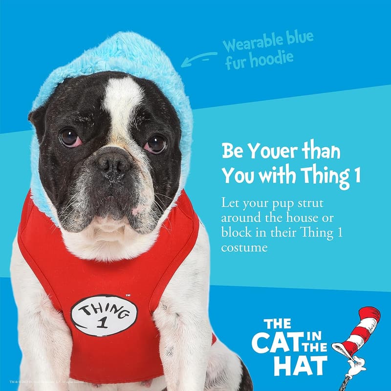 Halloween Cat in The Hat Dog Costume - Small, Officially Licensed