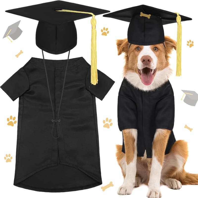 2025 Dog Graduation Cap and Gown Costume Set - Large Black