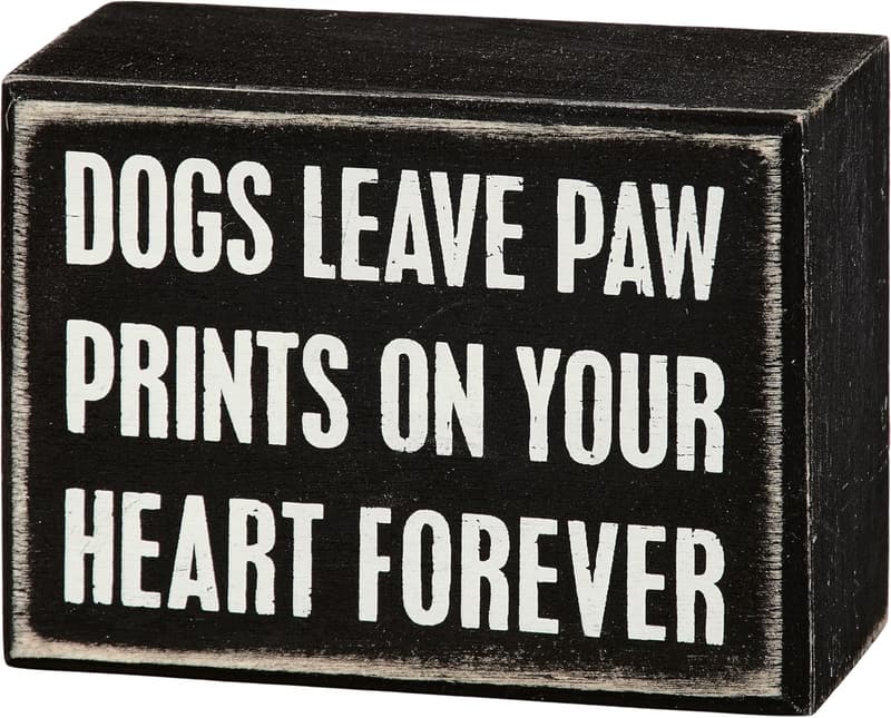 Dogs Leave Paw Prints Classic Box Sign, 4