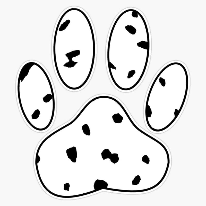 Dalmatian Puppy Paw Print Waterproof Vinyl Laptop Decal
