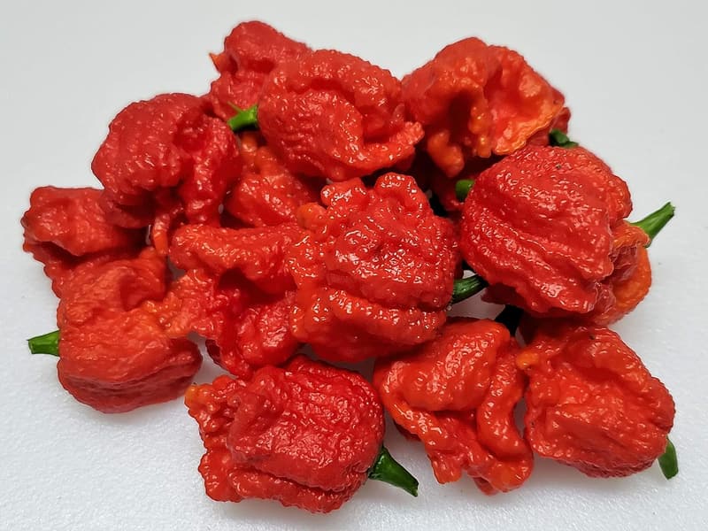 Dragon's Breath Pepper Seeds - Hot Pepper Variety