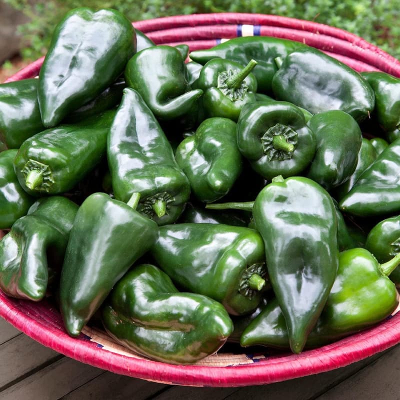 Poblano-Ancho Pepper Plants 4-Pack (19.3 oz)