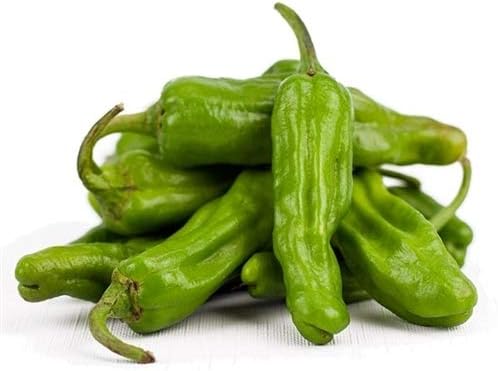 Shishito Pepper Plants - Pack of Six