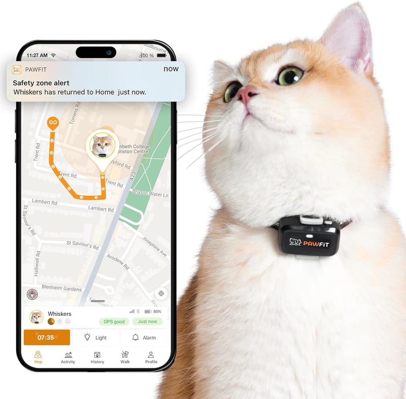 Onyx Black GPS Cat Tracker with Real-Time Monitoring