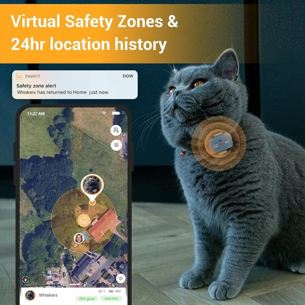 Onyx Black GPS Cat Tracker with Real-Time Monitoring