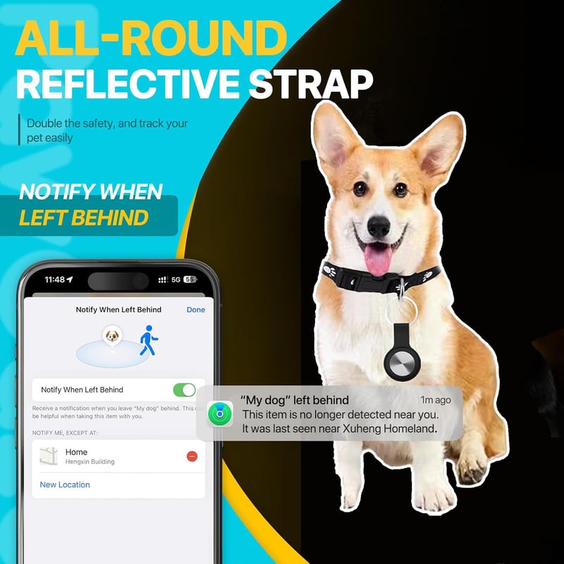 GPS Pet Tracker Collar for Dogs and Cats | Waterproof, No Fee