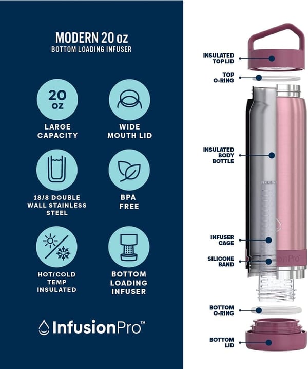 Vacuum Insulated Fruit Infuser Water Bottle with eBook - 20 oz