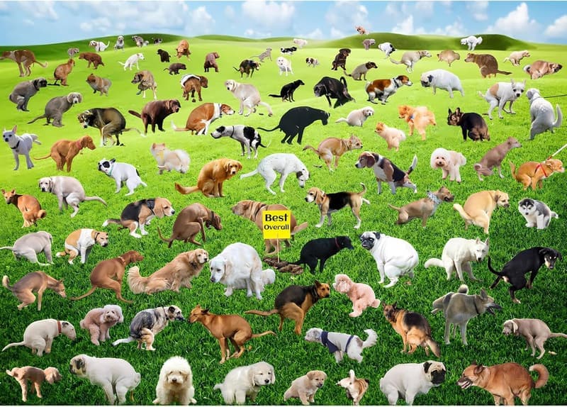 Funny Dog Jigsaw Puzzle for Adults - 1000 Pieces
