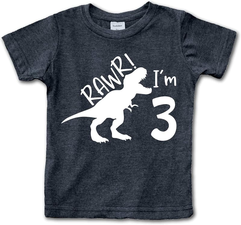 3rd Birthday Dinosaur T-Shirt for Boys -