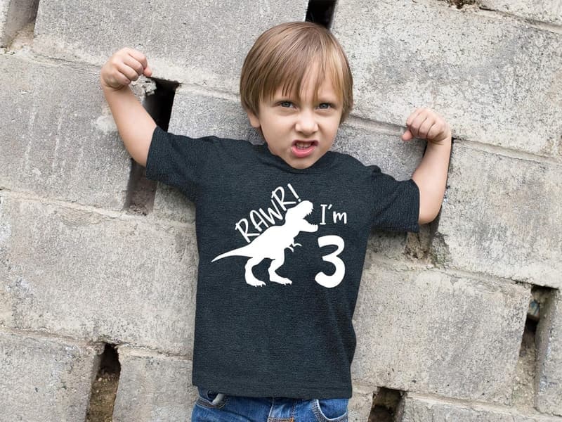 3rd Birthday Dinosaur T-Shirt for Boys - 