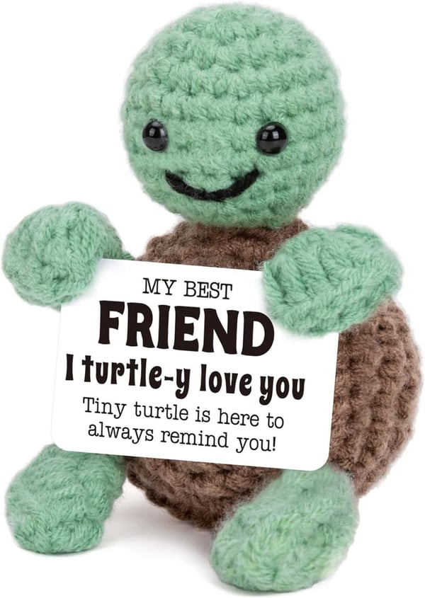 Handmade Crochet Turtle Friendship Gift for Women & Men