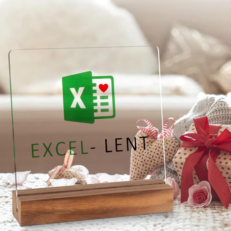 Motivational Excel Acrylic Desk Decor for Accountants