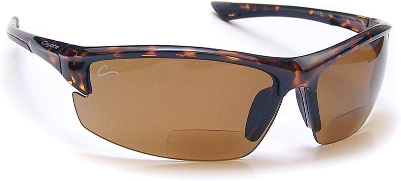 Polarized Reader Sunglasses for Men