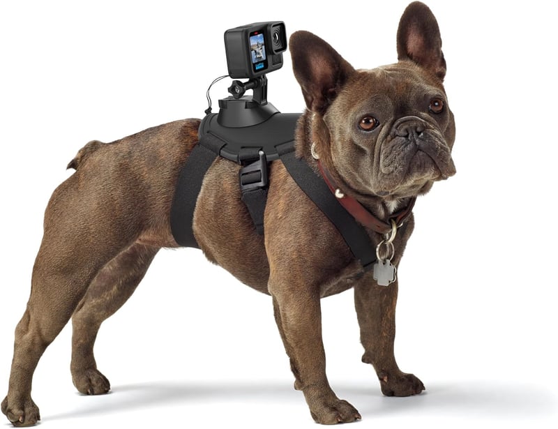 GoPro Fetch Dog Harness - Official Mount for Pets