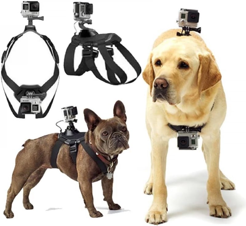 Adjustable GoPro Dog Harness for All Sizes - Chest & Back Mount