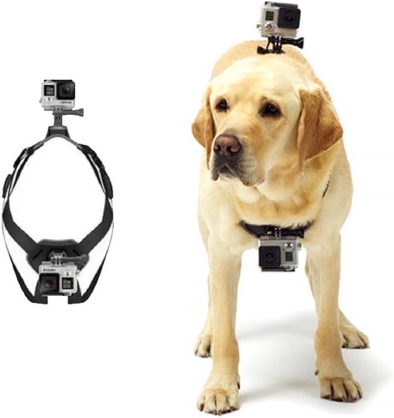 Adjustable GoPro Dog Harness for All Sizes - Chest & Back Mount