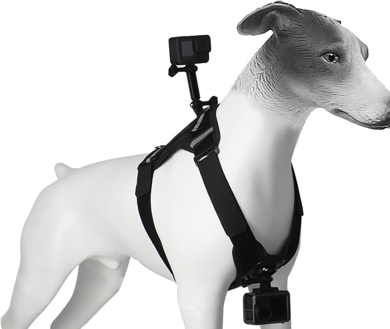 Gopro-Compatible Adjustable Dog Harness for All Sizes