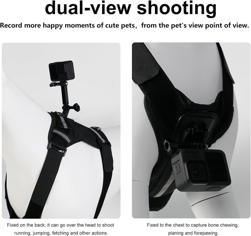 Gopro-Compatible Adjustable Dog Harness for All Sizes