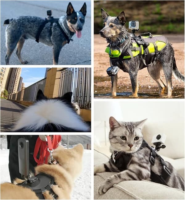 Adjustable Dog Harness with GoPro Mounting Base for All Sizes