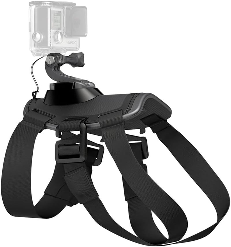Pet Action Camera Mount Harness by Ultimaxx