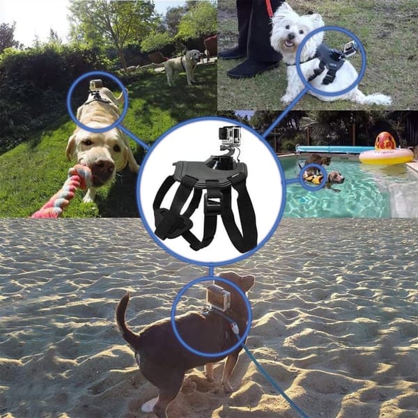 Pet Action Camera Mount Harness by Ultimaxx