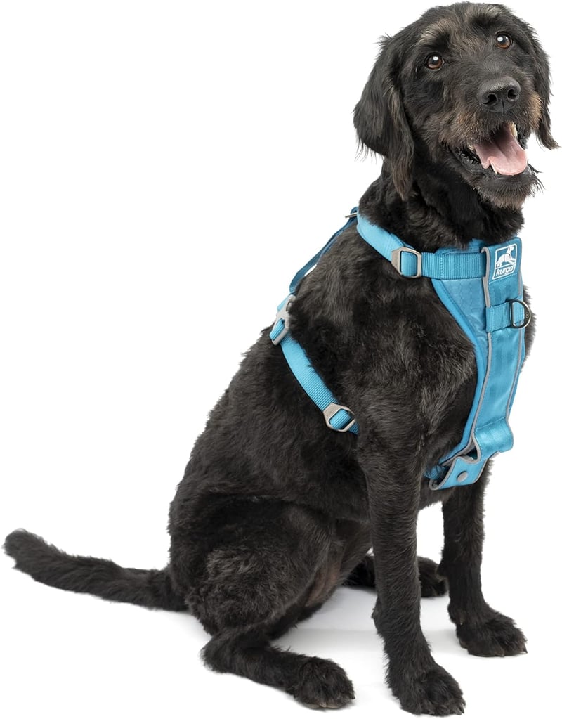 Pet Walking Harness for No Pull Training with Seat Belt Tether (Blue, Large)