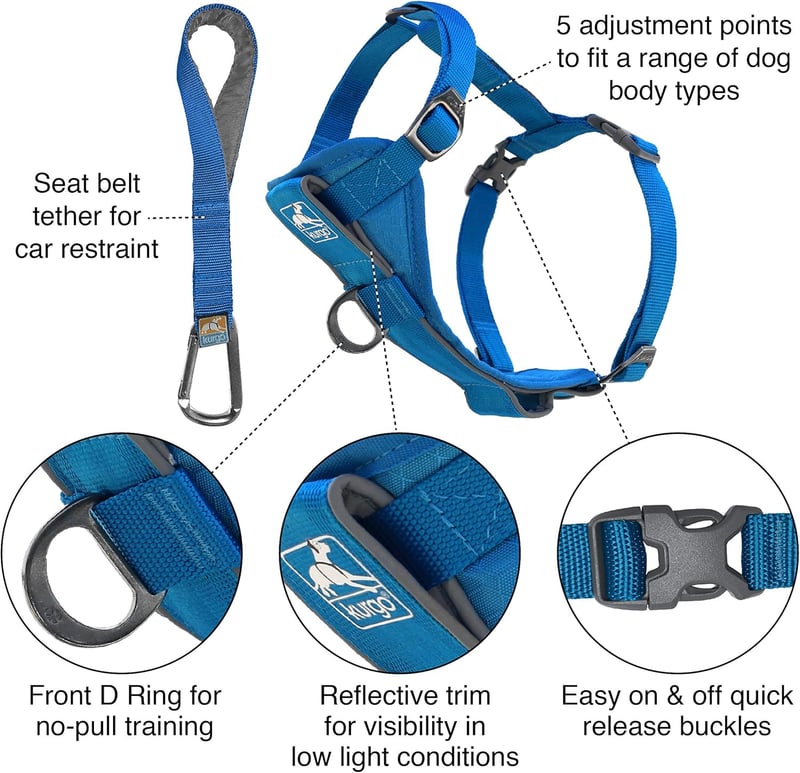Pet Walking Harness for No Pull Training with Seat Belt Tether (Blue, Large)