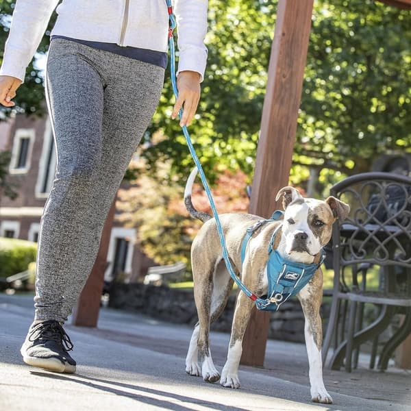 Pet Walking Harness for No Pull Training with Seat Belt Tether (Blue, Large)