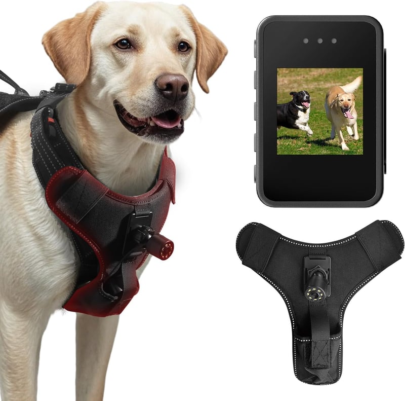 Dog Harness Camera with 1080P Video and Playback - 32G SD Card