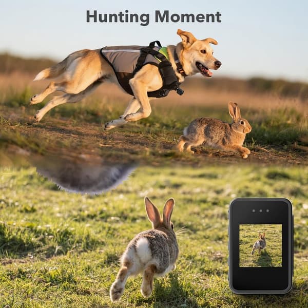 Dog Harness Camera with 1080P Video and Playback - 32G SD Card