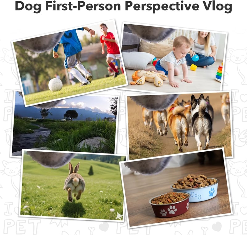 Dog Harness Camera with 1080P Video and Playback - 32G SD Card