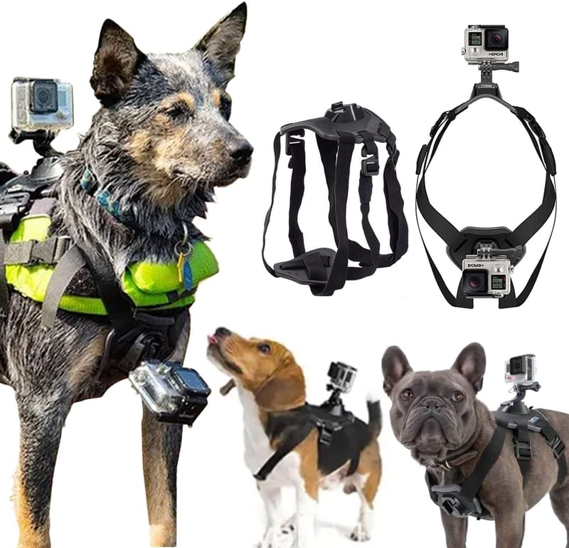 GoPro Dog Harness Mount - Soft & Adjustable for All Dog Sizes