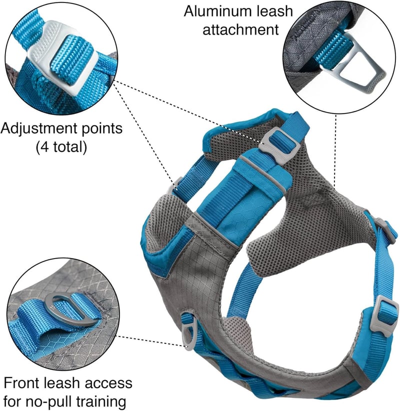 Reflective Padded Dog Harness for Hiking & Running - Blue, Large