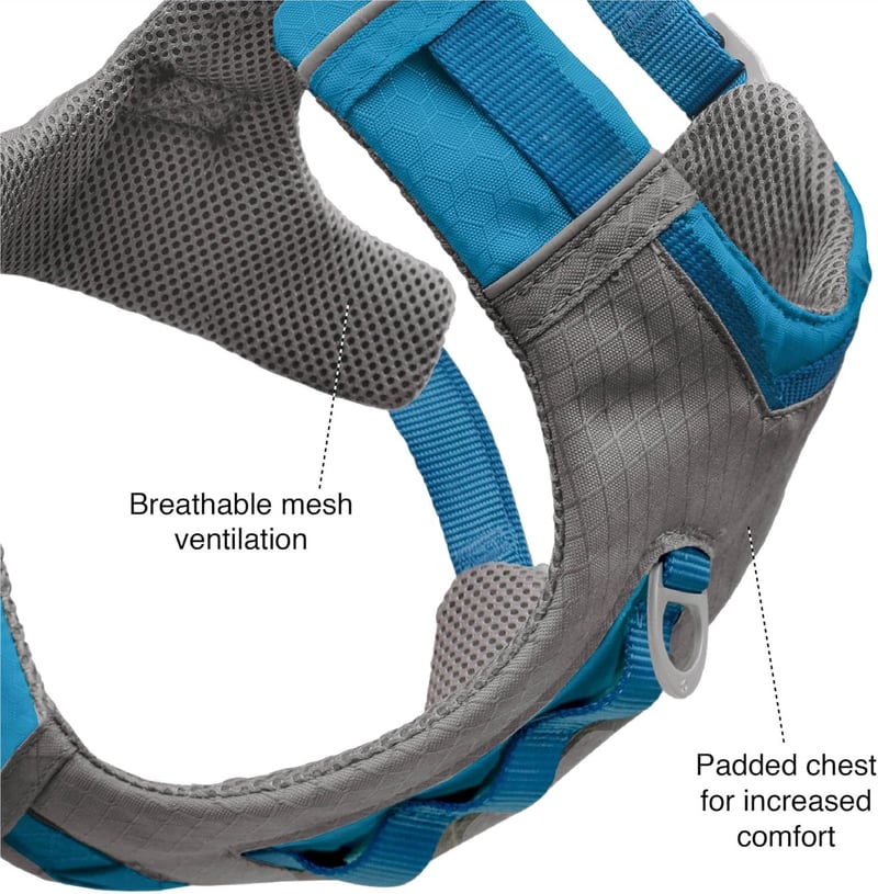 Reflective Padded Dog Harness for Hiking & Running - Blue, Large
