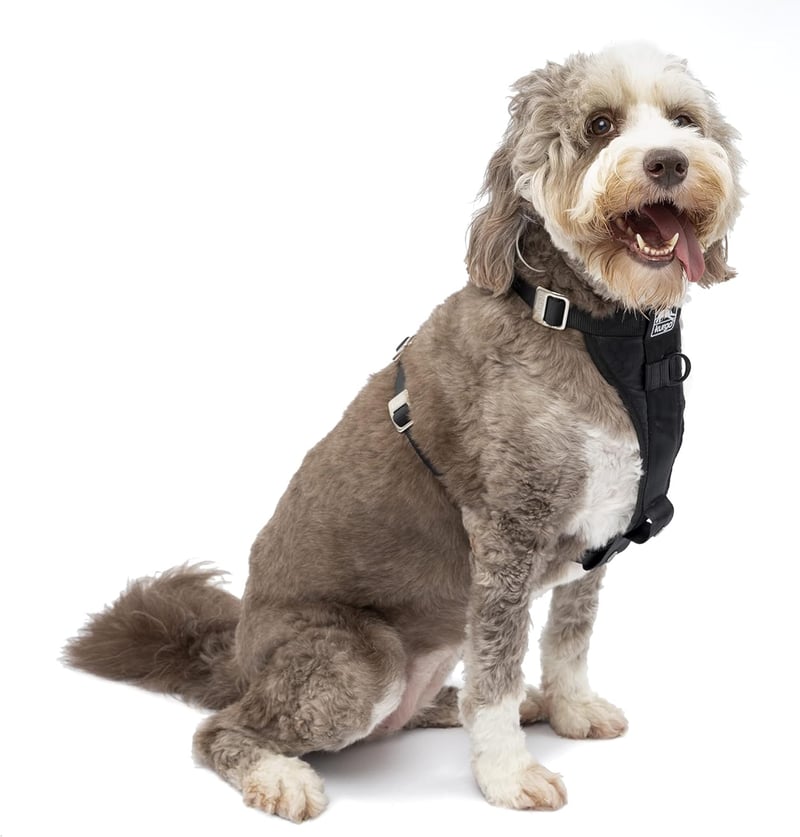 Crash-Tested Large Black Dog Harness with Seat Belt Tether