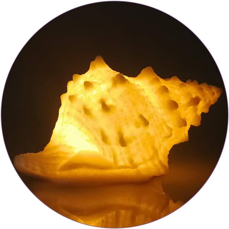 Nautical Night Light with Timer for Kids and Adults