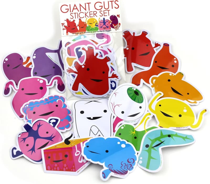 Giant Guts Sticker Set - 15 Organ Stickers for Kids