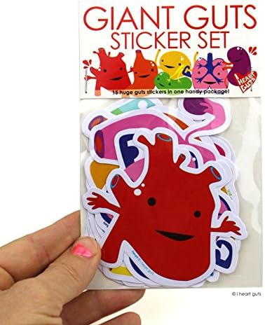 Giant Guts Sticker Set - 15 Organ Stickers for Kids