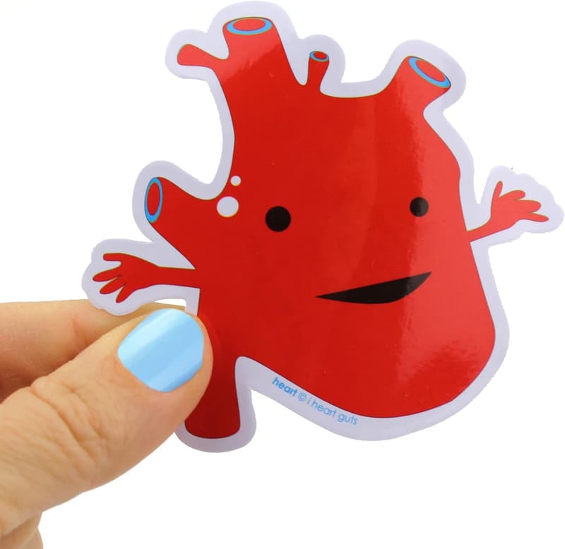 Giant Guts Sticker Set - 15 Organ Stickers for Kids