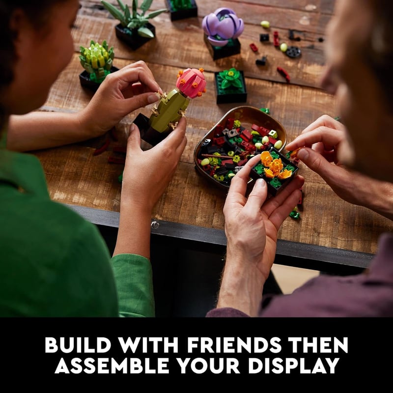 Graduation Gift: LEGO Succulents Indoor Plant Set for Adults