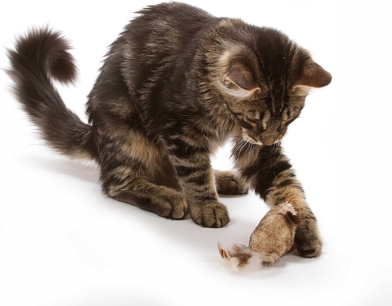 Interactive Catnip Toy Set - Play-N-Squeak Mice for Cats