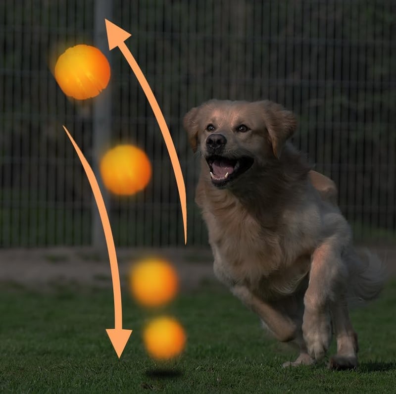 LED Dog Ball - Rechargeable, Water-Resistant Interactive Toy