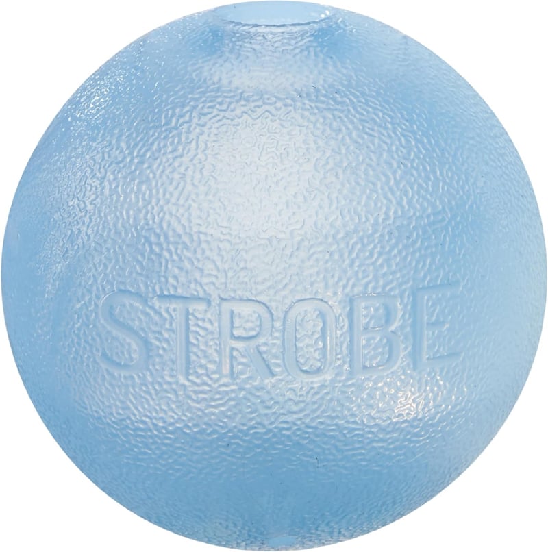 LED Light-Up Dog Toy Ball by Outward Hound – Blue