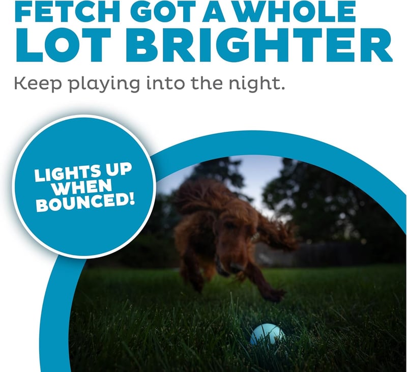 LED Light-Up Dog Toy Ball by Outward Hound – Blue