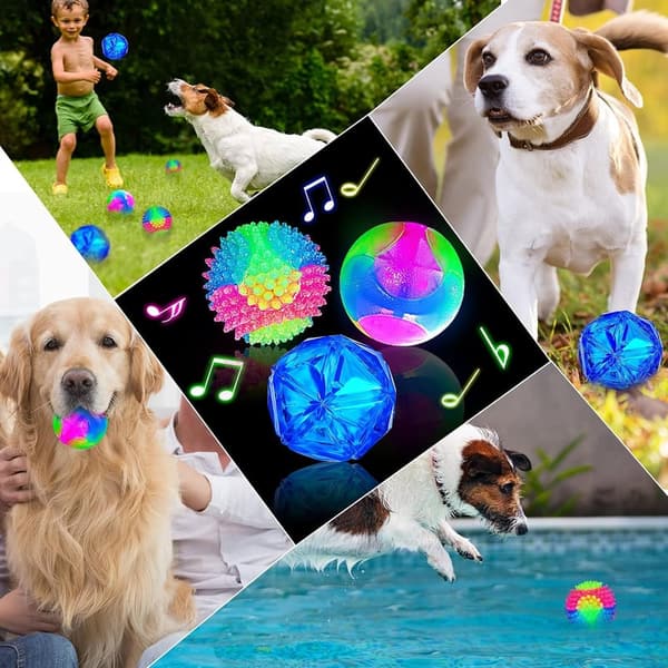LED Glow Dog Balls - 3-Piece Interactive Squeaky Toy Set