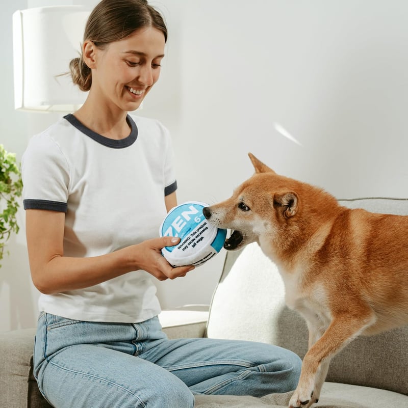 Parody Plush Squeaky Dog Toy - Zen Pupper Deckies